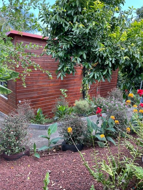 Massifs fleuris du jardin